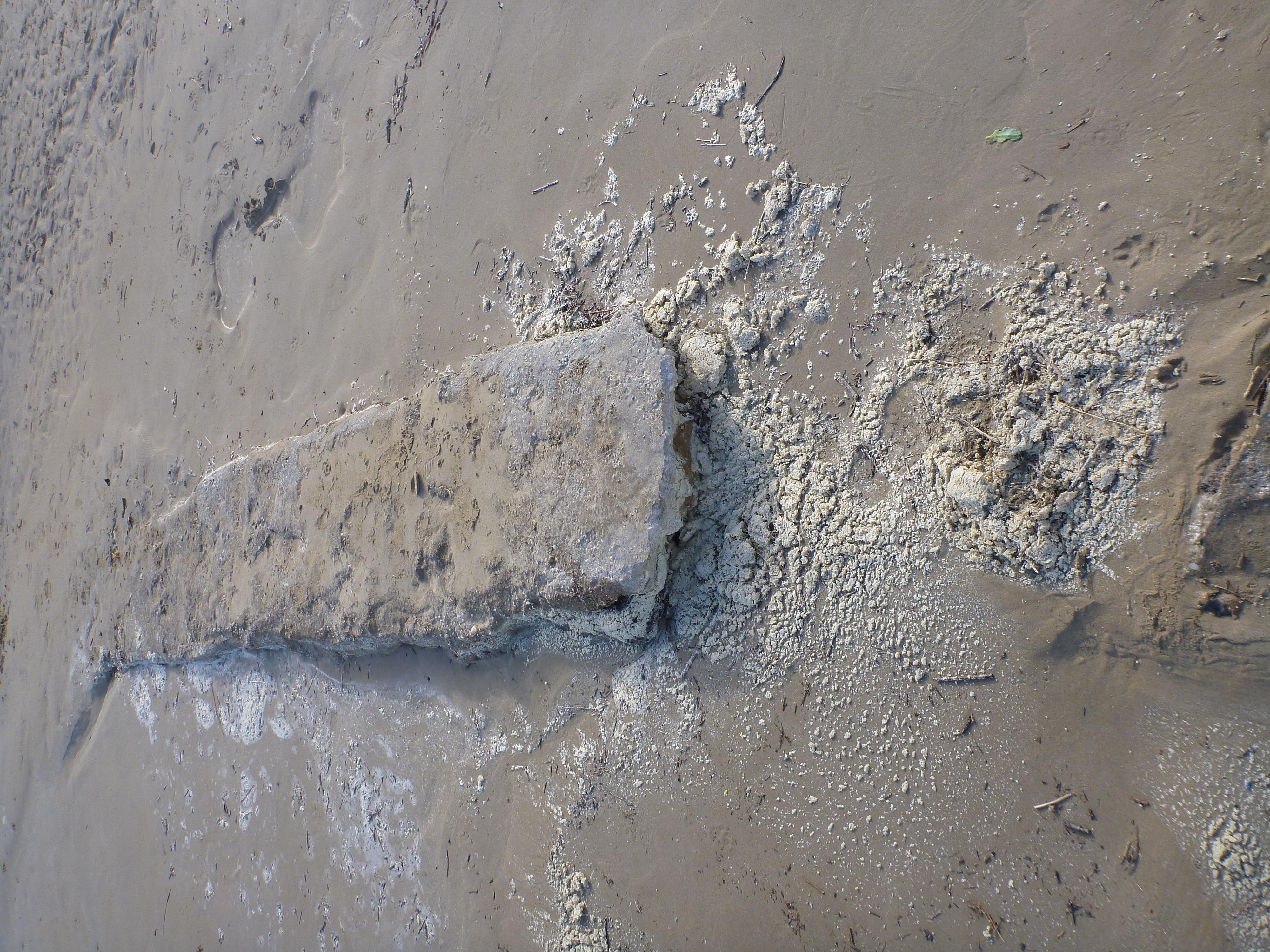 Rock wall exposed on the western side of the estuary mouth
