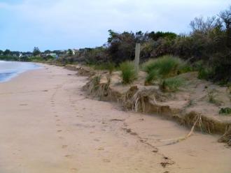The storm has taken sand off the beach, centred opposite Heathfield Estate at the beginning of Marengo. The sand cutting is approximately 190m long and 0.60m high. 