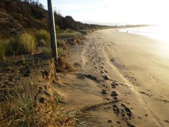 The beach profile had dropped by a half metre since the beginning of May.