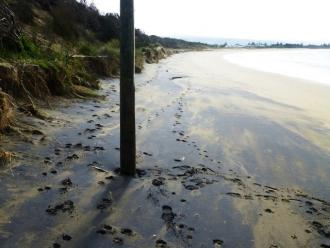 Pole 3 on 23/06/2015: The beach profile has dropped a further 0.78 metres since 06/06/2015.
In the mid areas of the Marengo beach the dunes are vulnerable to erosion.
Much of the beach at time is black from an Ilmenite seam being opened.