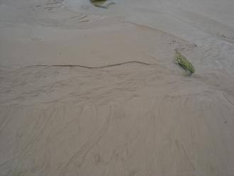 very slight amount of water reaching sea: Photo of flow through sand on 3rd January 2016 and please see StP3_20140103_1_201 