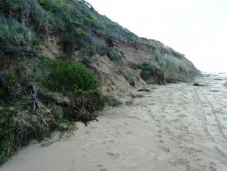 Photo 4 at base of Pt Bunbury: Photo taken 2 days after the weather event. Collapse of cliff is about 3 metres high.