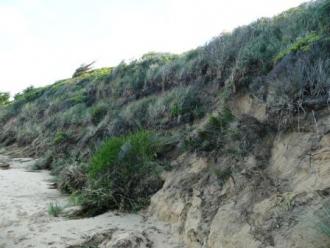 Photo 5 at base of Pt Bunbury: Collapse of cliff is 3 to 4 metres high.