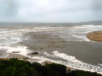 BmP1 River mouth at 11.25: Waves in and floodwaters out leaving logs stationary at the river mouth.