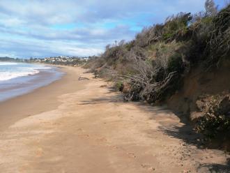 Primary dune looking SW from bottom of steps to beach at toilet block.