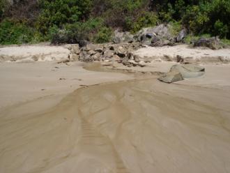 Photograph: 110115 Fresh water enters estuary from accross Great Ocean Road