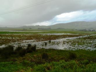 Barham farmland photo at 16.10: Minor river flood