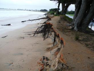The Very rough westerly swells had done well over $100,000 damage to the walking track and infrastructure on the Apollo Bay foreshore.