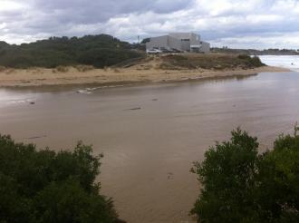 Spring creek opening pic 3: photo taken from point opposite Sp1 photopoint. Constant inflow of tidal seawater visible