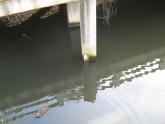 Water Level Gauge on Erskine Bridge
